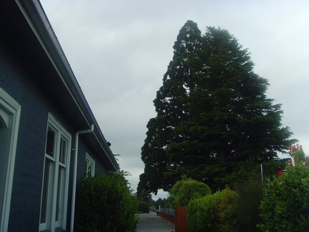 Big Tree Lodge Methven Exterior foto